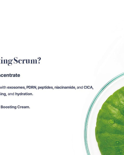 Exoblanc Boosting Serum - Premium Korean aesthetic skincare