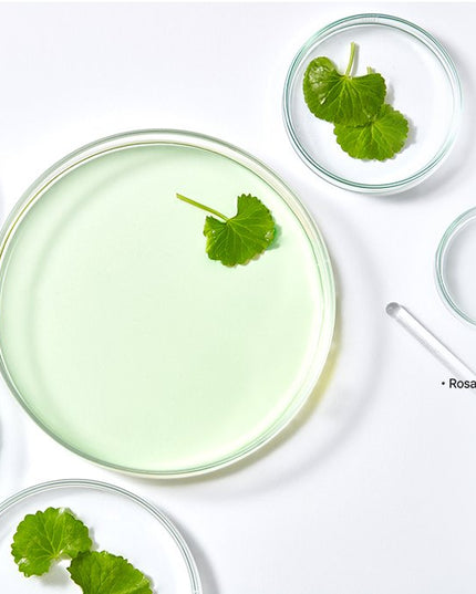 Exoblanc Spicule Cream - Premium Korean aesthetic-level skincare