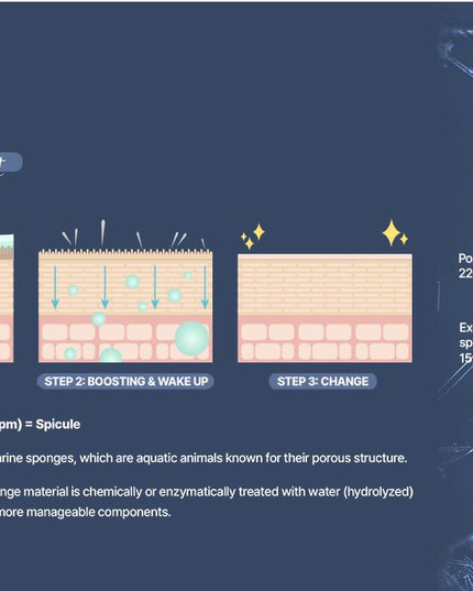 Exoblanc Spicule Cream - Premium Korean aesthetic-level skincare